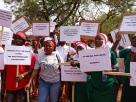 unemployed nurses